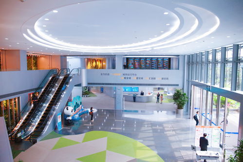 6.0版來了 上海以“加減法”優化科技服務營商環境